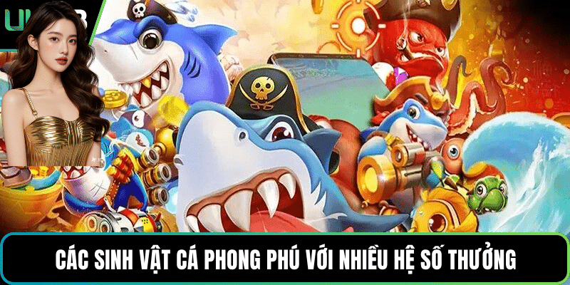 Các sinh vật cá phong phú với nhiều hệ số thưởng
