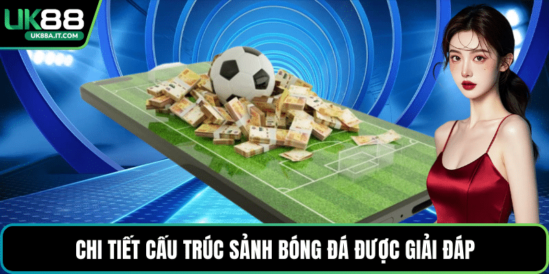 Chi tiết cấu trúc sảnh bóng đá được giải đáp