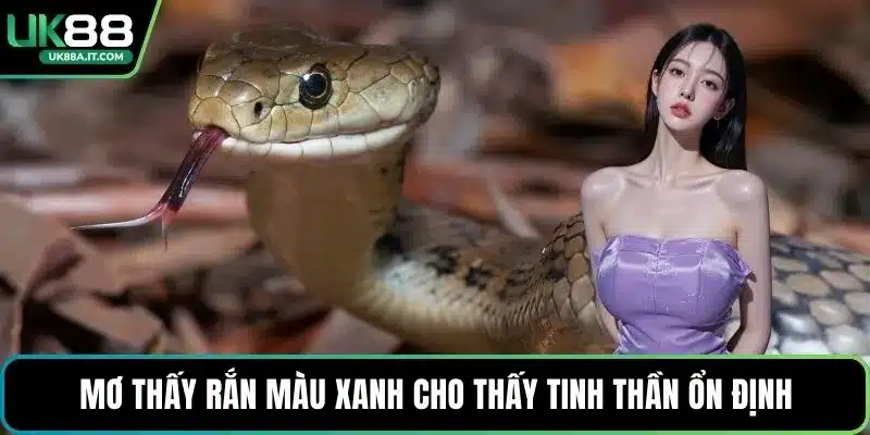 Mơ thấy rắn màu xanh cho thấy tinh thần ổn định