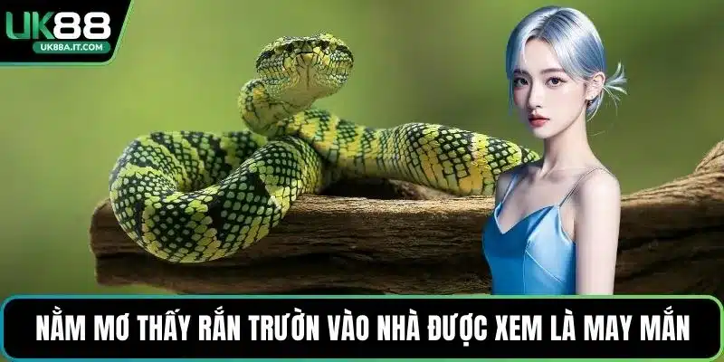 Nằm mơ thấy rắn trườn vào nhà được xem là may mắn