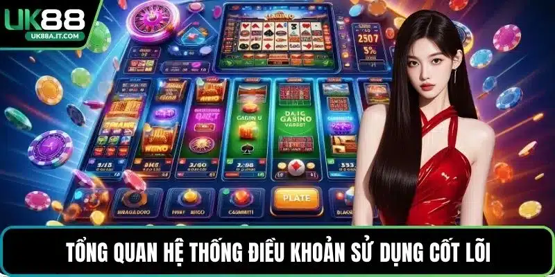 Tổng quan hệ thống điều khoản sử dụng cốt lõi